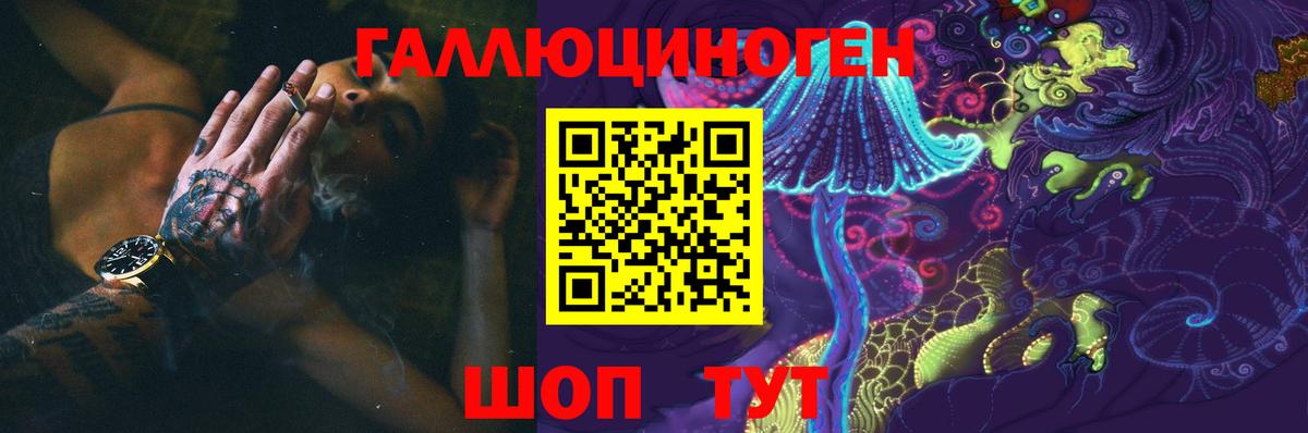 Псилоцибиновые грибы Cubensis  Псилоцибиновые грибы GOLDEN TEACHER  Тутаев  Вход с VPN 