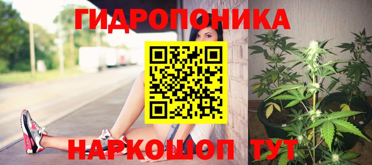 Марихуана SATIVA & INDICA  Вход с VPN  Бошки Шишки конопля  Каннабис ГИДРОПОН  Канабис Bruce Banner  Тутаев 